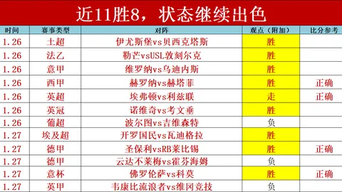费耶诺德与格拉茨风暴强强联手！揭秘媒体迷雾背后的真相！