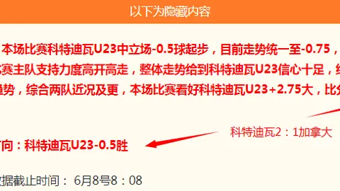 芬兰杯瓦萨：16胜13后，逆转一战的决战指南